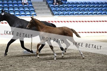 181754_kbb_01_Z094049.JPG