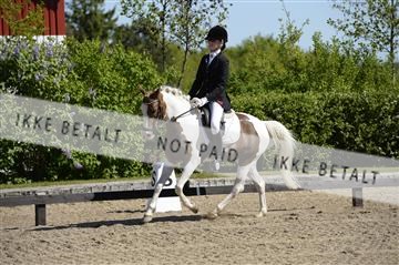 139815_ms_01__MS27098.JPG