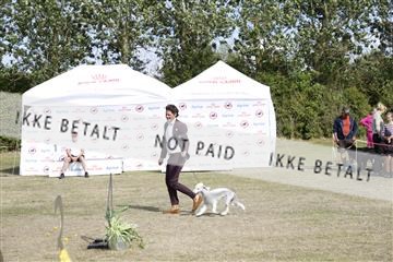 181848_kar_01__62_3874.JPG