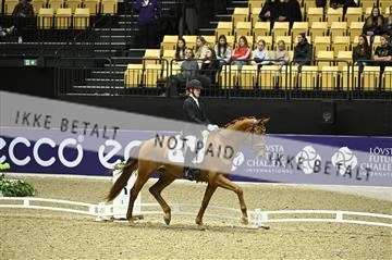 182194_kbb_01_Z096685.JPG