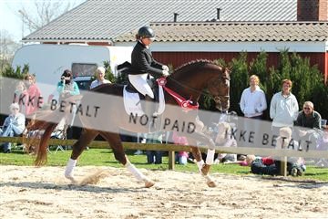 129495_abo_01_IMG_8941.JPG