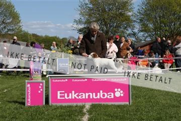 134871_ms_02_IMG_3708.JPG