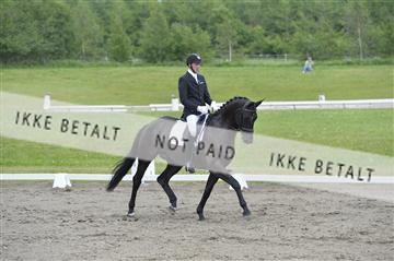 140040_abo_01__AB16634.JPG