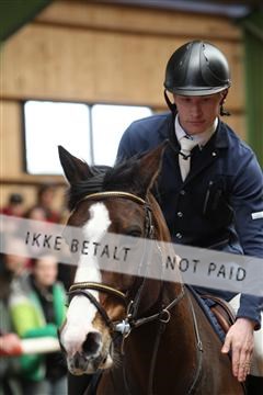 139265_kl_1_8M1Q6328.JPG