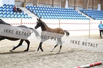 181754_kbb_01_Z092885.JPG