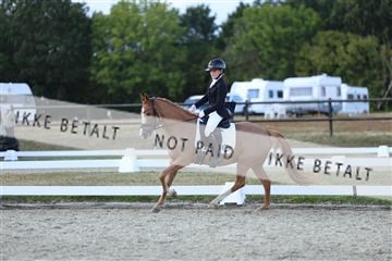 181894_mtp_05_R62_5098.JPG