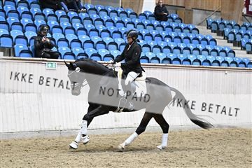 182241_kbb_01_Z093956.JPG