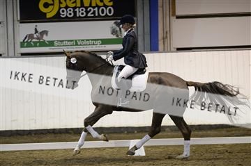 141472_abo_01__AB15255.JPG