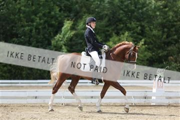 156196_nn_01_IMG_6295.JPG