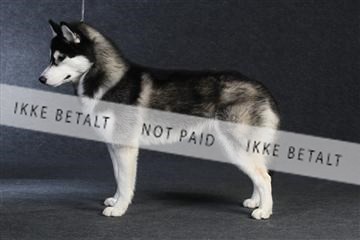 132082_le_ 01_IMG_0110.JPG