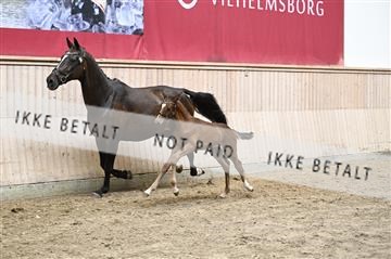 181754_kbb_01_Z092849.JPG