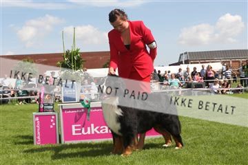 130370_se_03_IMG_7462.JPG