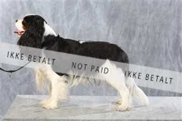 128239_le_kort_ 01_0345.JPG