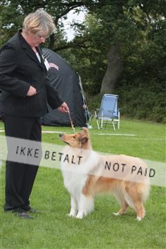 130370_tl_01_IMG_7157.JPG