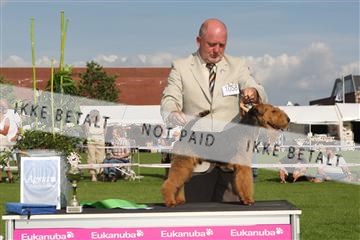 130370_se_03_IMG_7897.JPG