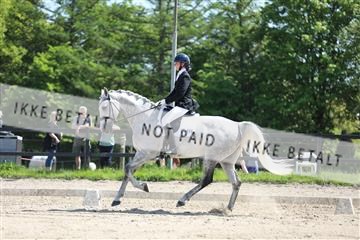 168732_mtp_01_3M5A7361.JPG