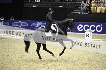 182194_kbb_02_Z099143.JPG