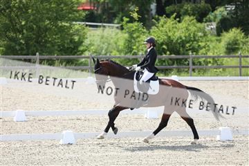 172030_mtp_01_3M5A2288.JPG