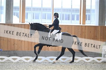 182176_kbb_01_Z092654.JPG