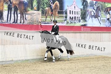 182241_kbb_01_Z094076.JPG