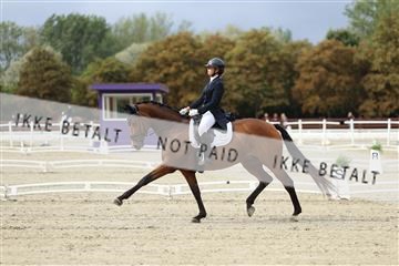 181923_mtp_03_R62_7239.JPG