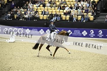 182194_kbb_02_Z099175.JPG