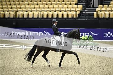 182194_kbb_01_Z095824.JPG