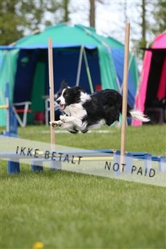 134871_ms_02_IMG_3087.JPG