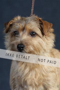 132082_le_ 01_IMG_0539.JPG