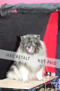 135379_tl_02_IMG_9236.JPG