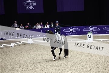 182194_avh_05_2484.JPG