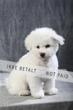 129608_le_ 01_0563.JPG