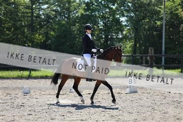 168732_mtp_01_3M5A6418.JPG