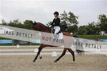 156196_nn_01_IMG_5021.JPG