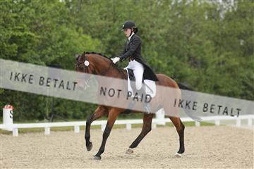 139835_sg_01_IMG_8323.JPG