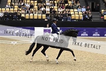 182194_kbb_03_Z091349.JPG