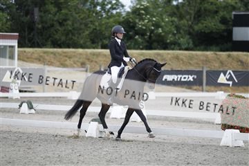 166078_rhj_01__J7R4634.JPG