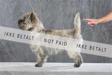 130054_le_ 03_0042.JPG