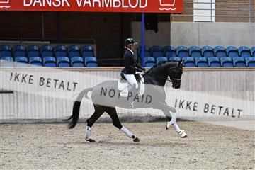 182241_kbb_01_Z094226.JPG