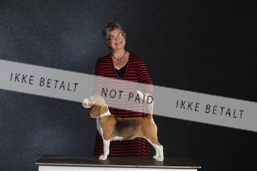 132082_le_ 01_IMG_1548.JPG