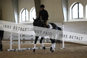 139266_kl_1_8M1Q7140.JPG