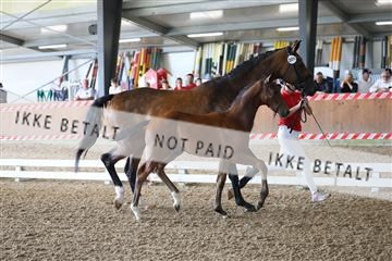 181756_mtp_03_R62_2149.JPG