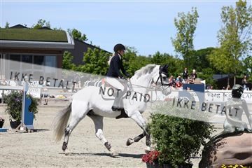 181436_avh_03_4377.JPG
