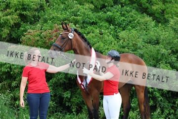 181756_mtp_01_R62_1797.JPG