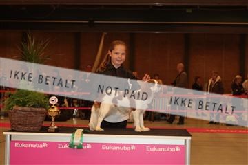 124188 _tl_02_IMG_9201.JPG