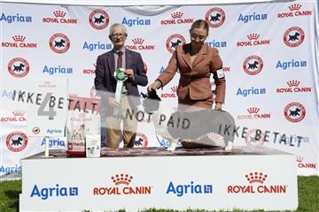 181564_ch_01__62_0093.JPG