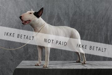 128239_le_kort_ 01_0253.JPG