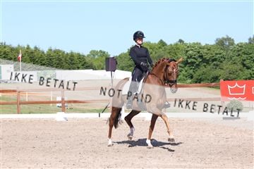 181449_bc_01R62_6038.JPG