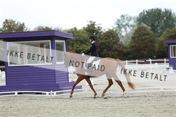 181923_mtp_02_R62_7065.JPG