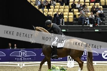 182194_kbb_03_Z092804.JPG